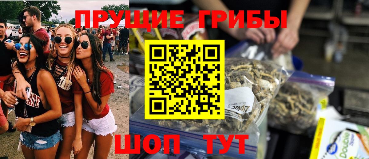 как найти   Вход с VPN  Юрга  Псилоцибиновые грибы Magic Shrooms 